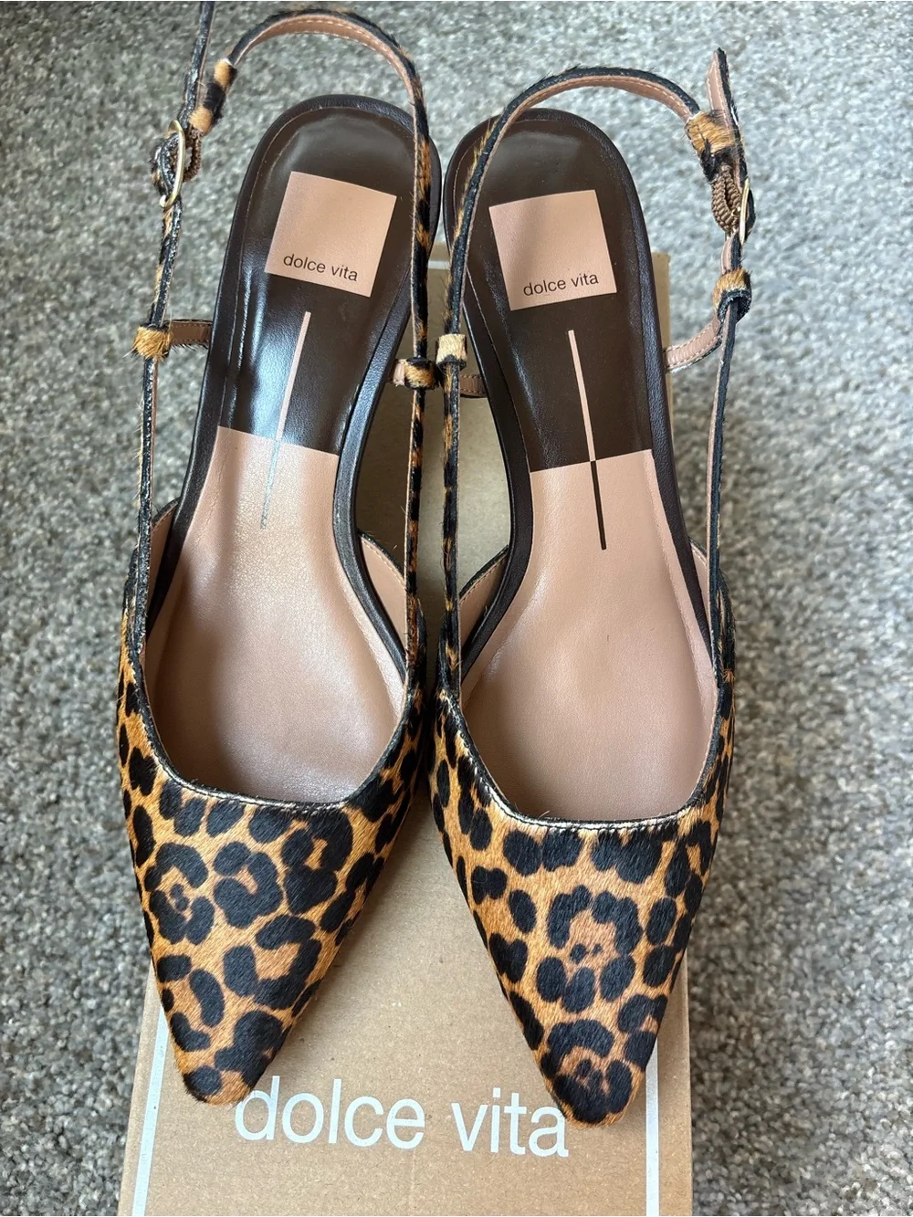 Dolce Vita Leopard Print Slingback Pumps